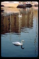 London - Swans - Jan 2002