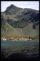 South Georgia - Grytviken - Jan 2002