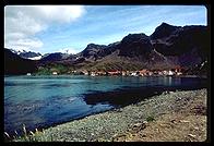 South Georgia - Grytviken - Jan 2002