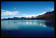 South Georgia - Grytviken - Jan 2002