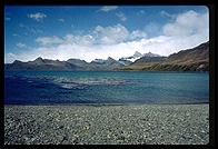 South Georgia - Grytviken - Jan 2002