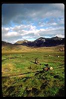 South Georgia - Husvik - Jan 2002