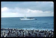 Southern Thule - Braveheart and penguins - Jan 2002