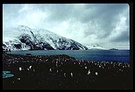 Southern Thule - Braveheart and penguins - Jan 2002