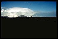 Southern Thule - Cook Island - Jan 2002