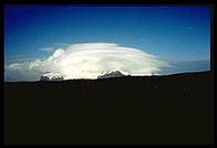 Southern Thule - Cook Island - Jan 2002