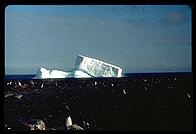 Southern Thule - Iceberg - Jan 2002