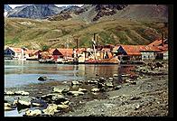 South Georgia - Grytviken - Jan 2002