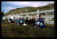 South Georgia - Grytviken - Jan 2002