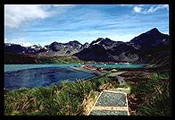 South Georgia - King Edward Point - Jan 2002