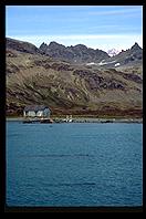 South Georgia - Husvik - Jan 2002