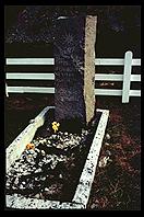 South Georgia - Shackleton grave (front) - Jan 2002