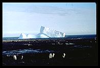 Southern Thule - Grounded Iceberg - Jan 2002
