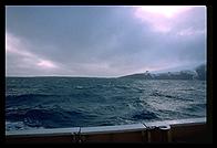 Southern Thule - Hewison Point Jan 2002