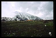 Southern Thule - VP8THU camp and Mt. Larsen - Jan 2002