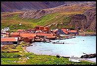 South Georgia - Grytviken - Jan 2002