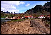 South Georgia - Grytviken - Jan 2002