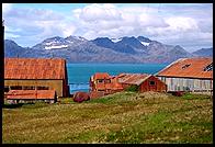 South Georgia - Grytviken - Jan 2002