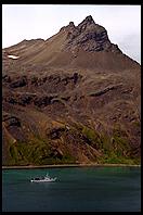 South Georgia - Grytviken - Jan 2002