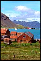 South Georgia - Grytviken - Jan 2002