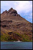 South Georgia - Grytviken - Jan 2002