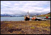 South Georgia - Grytviken - Jan 2002