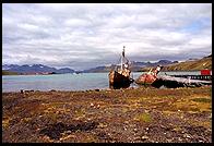 South Georgia - Grytviken - Jan 2002