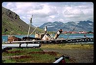South Georgia - Grytviken Seal Boats - Jan 2002