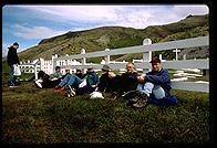 South Georgia - Grytviken - Jan 2002