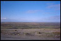 Falklands - Feb 2002