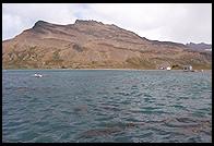 South Georgia - Husvik - Jan 2002