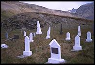 South Georgia - Husvik - Jan 2002