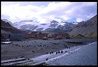 South Georgia - Stromness - Jan 2002