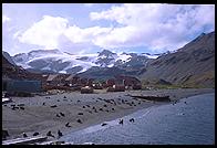 South Georgia - Stromness - Jan 2002