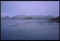 South Georgia - Stromness Bay - Jan 2002