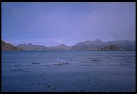 South Georgia - Stromness Bay - Jan 2002