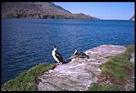 South Georgia - Stromness - Jan 2002