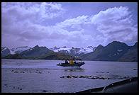 South Georgia - Stromness Bay - Jan 2002