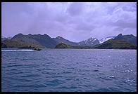 South Georgia - Stromness Bay - Jan 2002