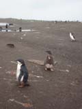 2002_0119_150643AA