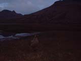 2002_0126_215634AA