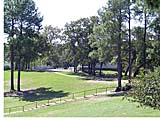 10.jpg 160x120
