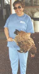 gallina