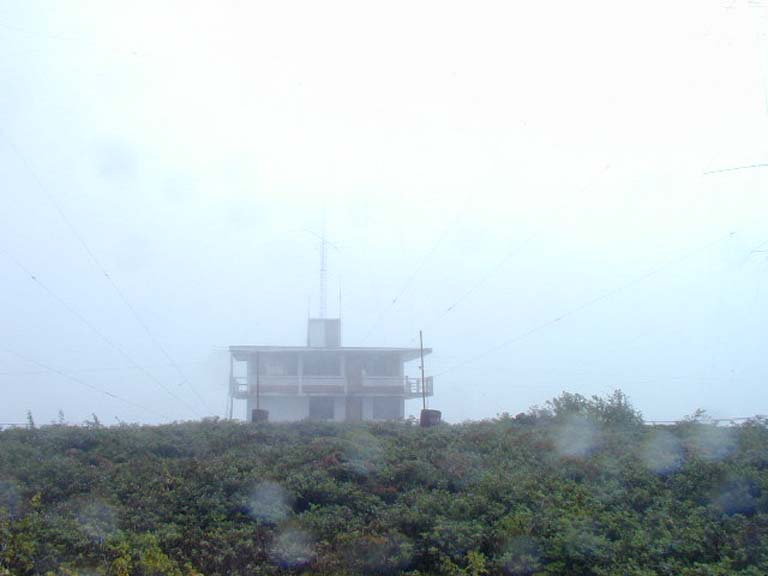 Fog
