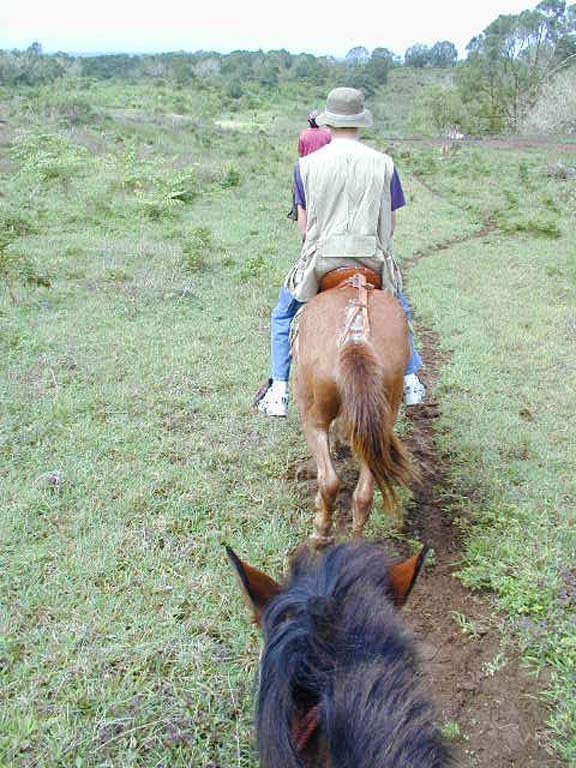 Trail