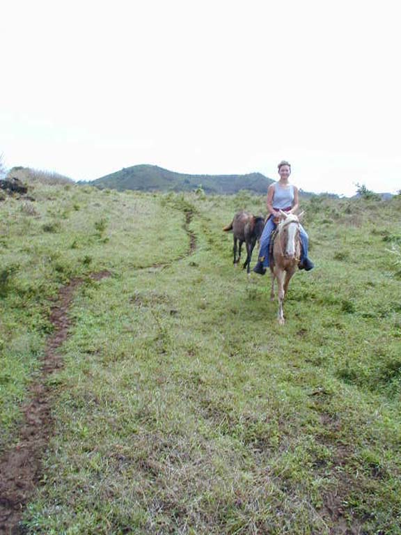 Trail