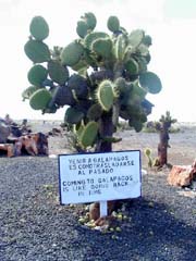Galapagos