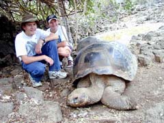Tortoise