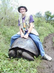 Tortoise