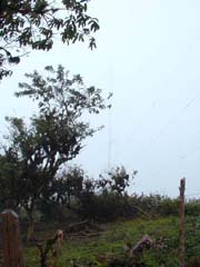 Tower